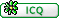 ICQ Number